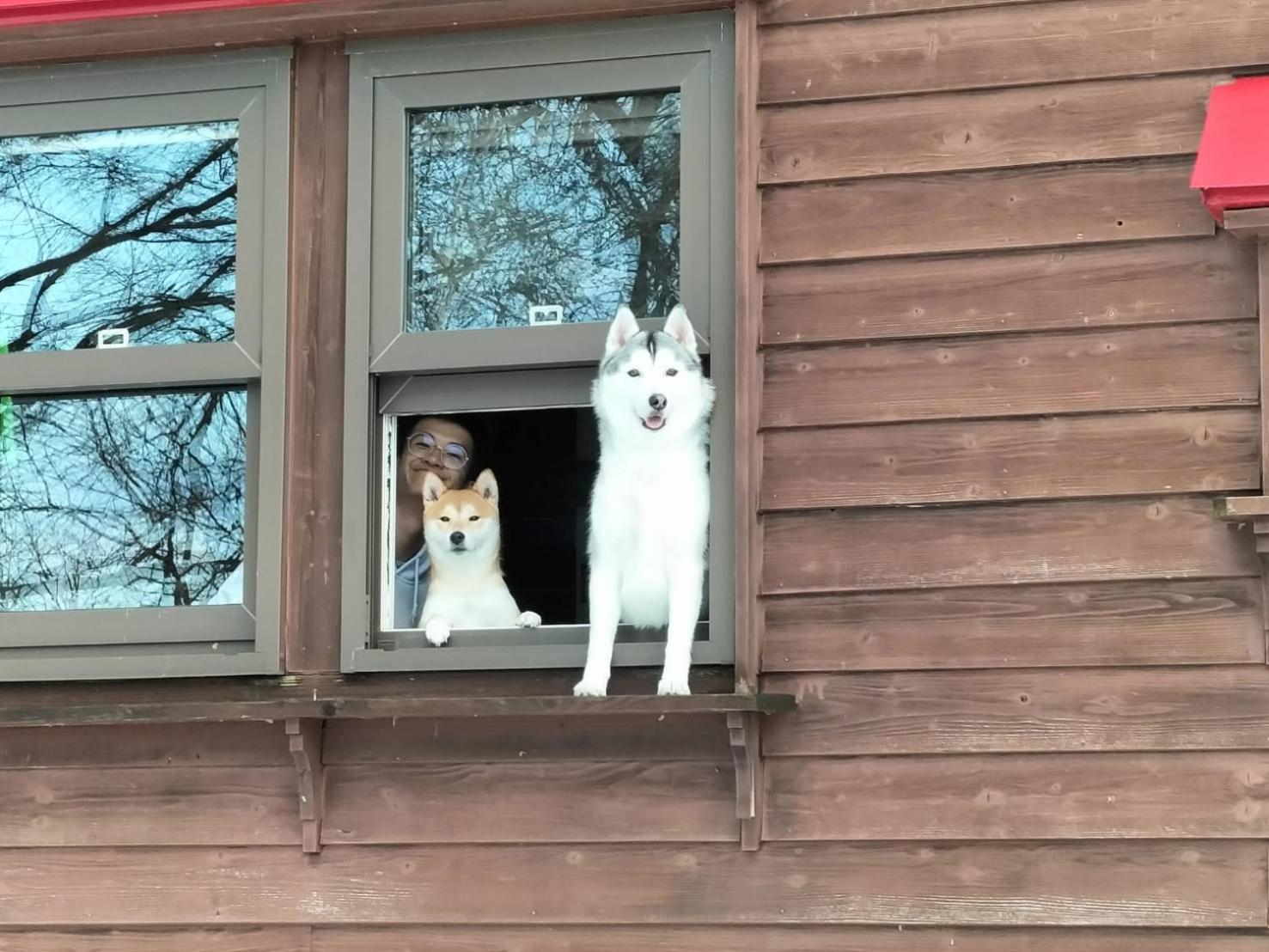 Pension Kinouta Biei Exteriör bild